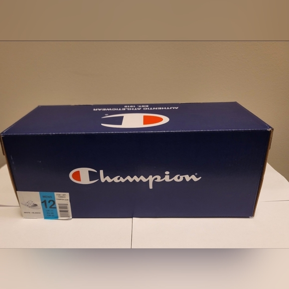 Champions Slides - Picture 5 of 6